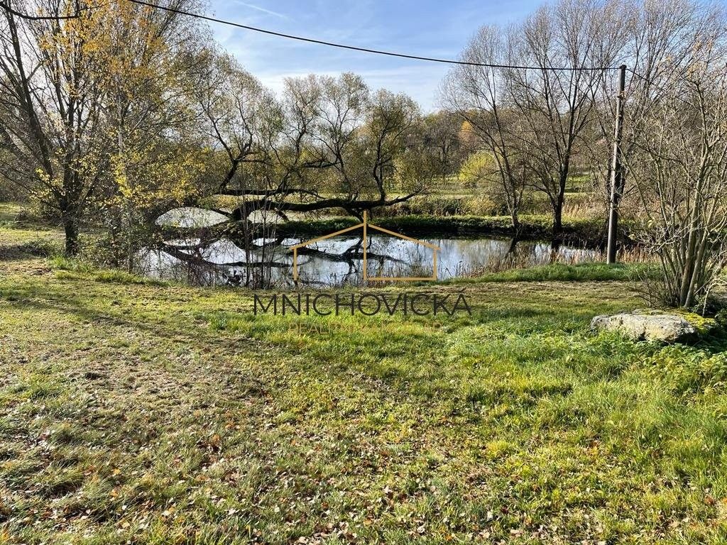 Prodej pozemku 3800 m² - foto 4