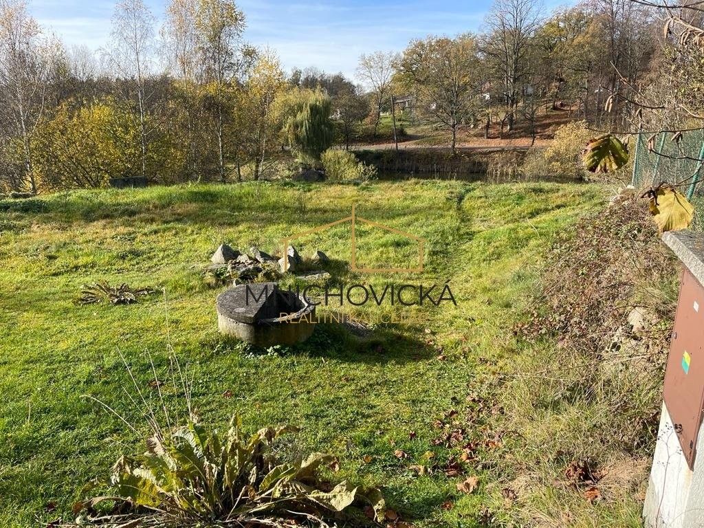 Prodej pozemku 3800 m² - foto 5