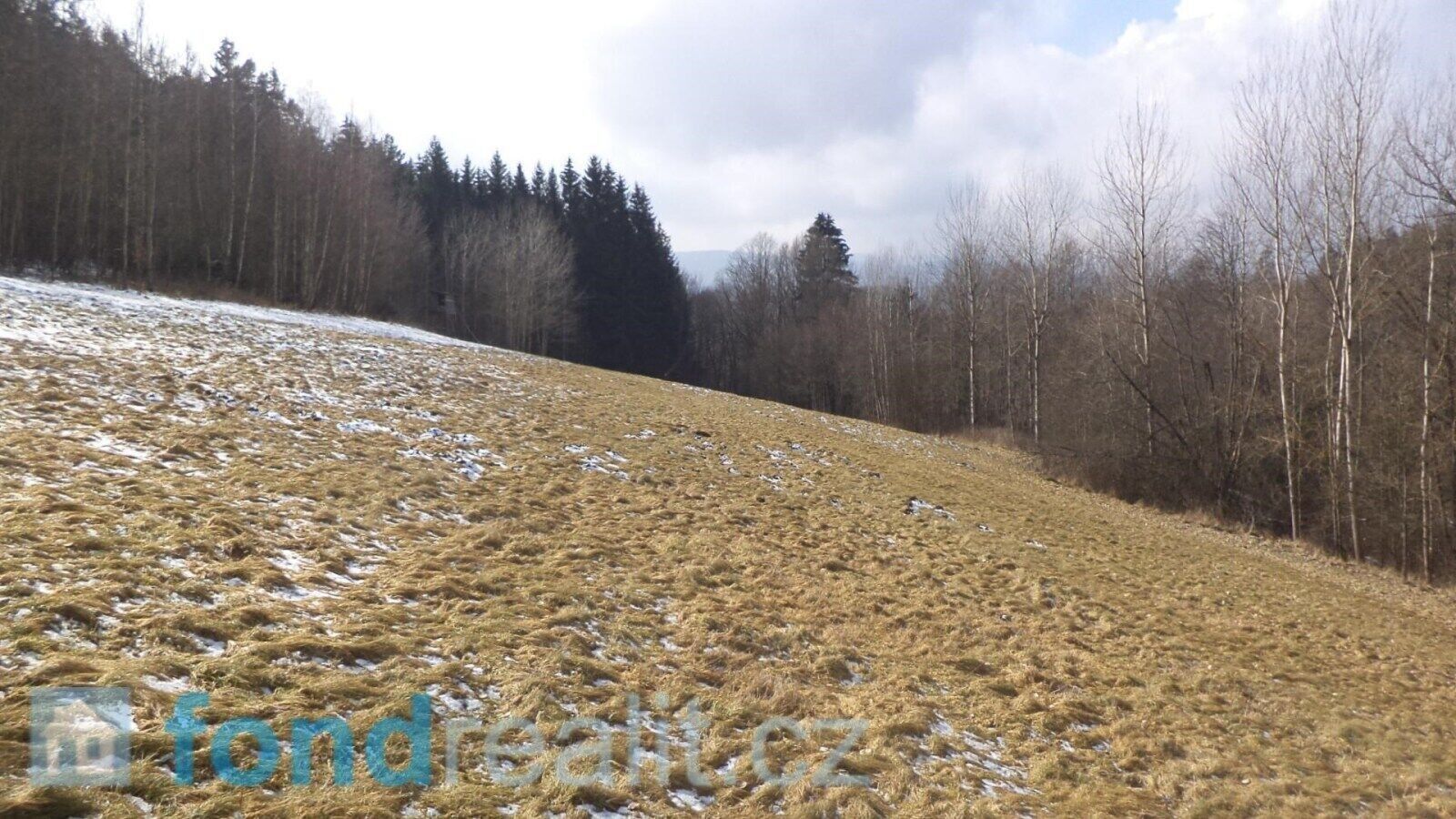 Prodej nemovitosti 10344 m² - foto 4