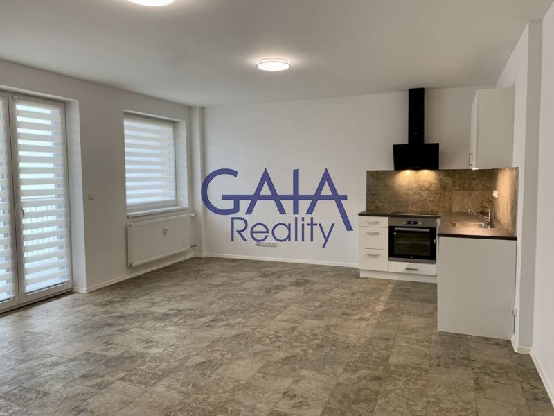 Pronájem bytu 1+kk 40 m² - foto 4