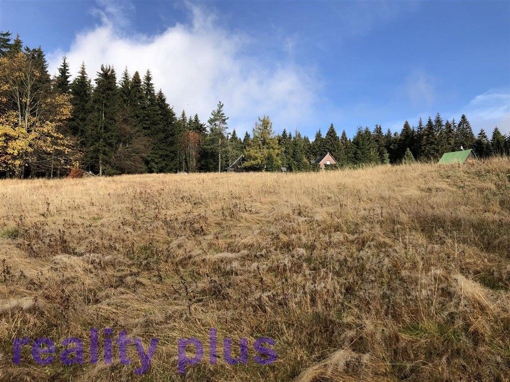 Prodej pozemku 6251 m² - foto 3