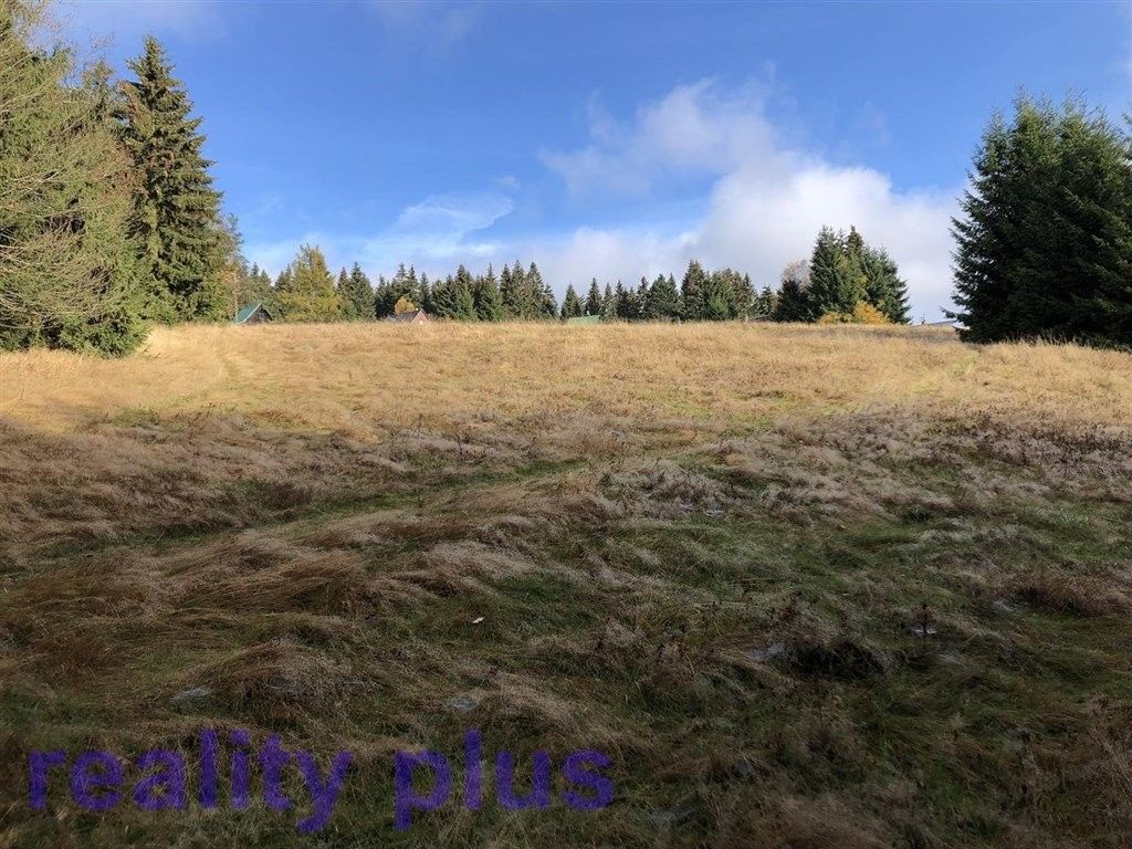 Prodej pozemku 6251 m² - foto 6