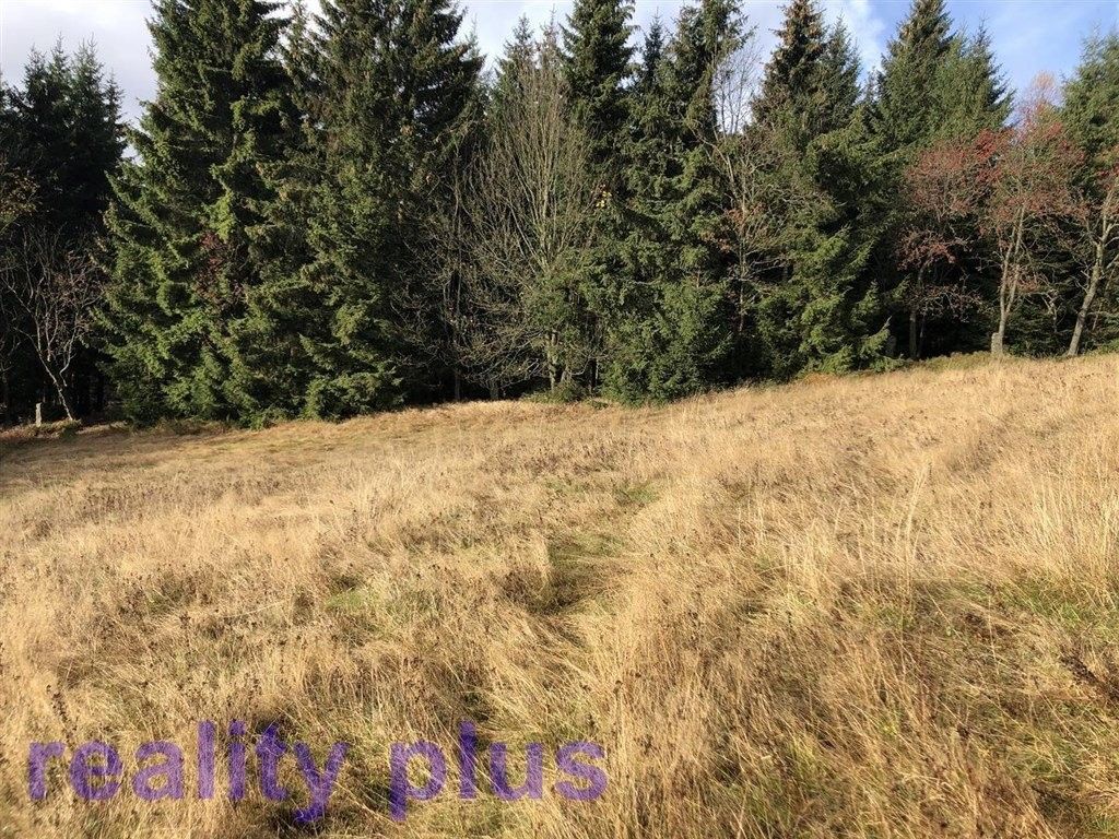 Prodej pozemku 6251 m² - foto 2