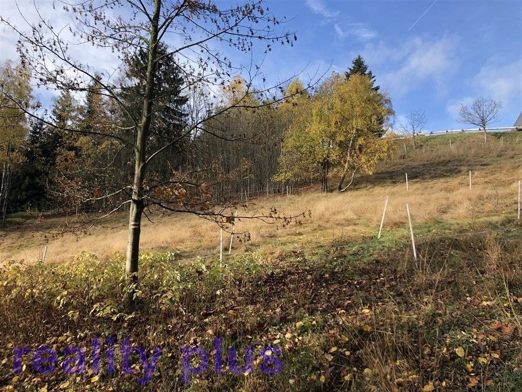 Prodej pozemku 3747 m² - foto 4