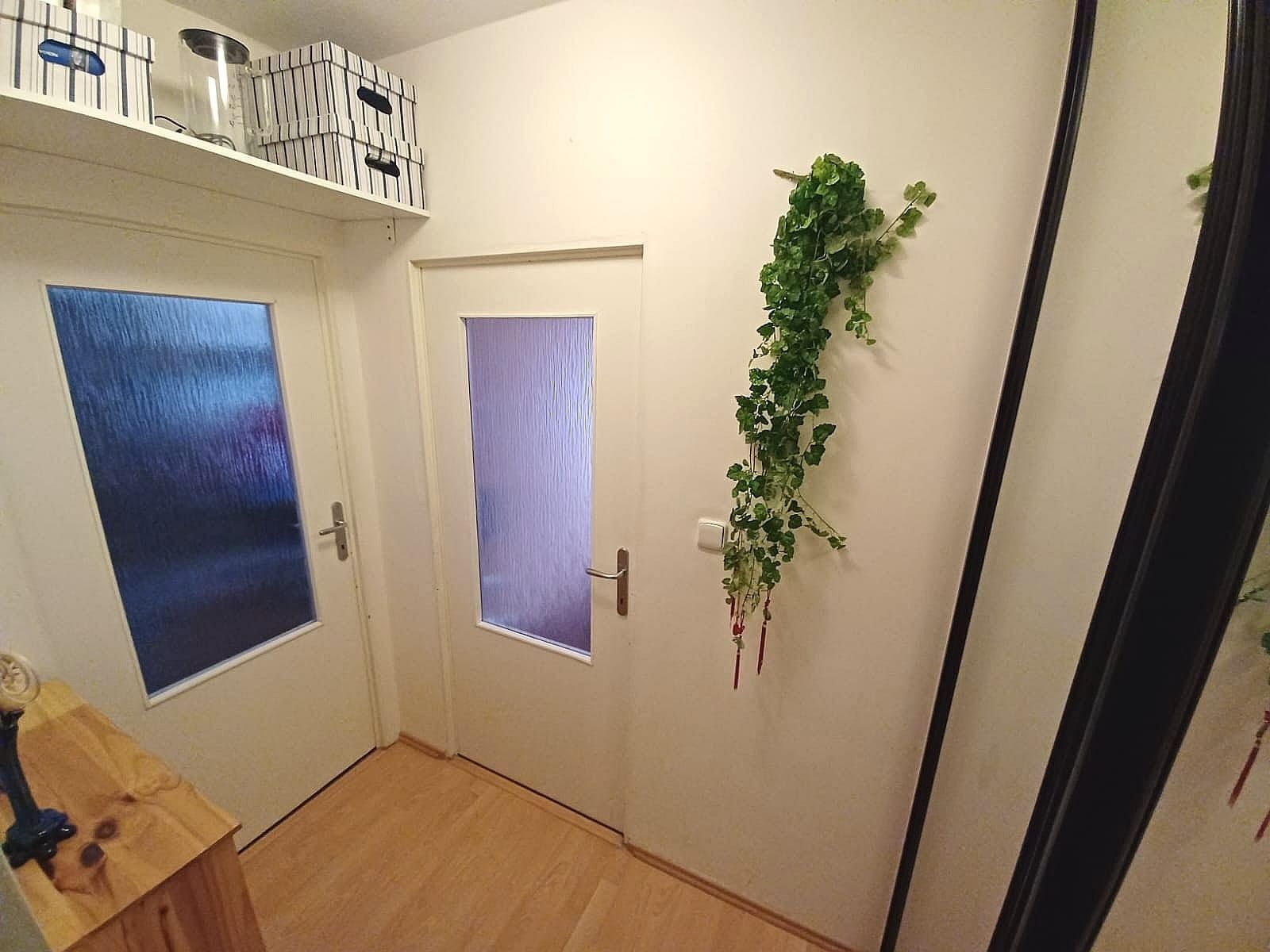 Prodej bytu 2+kk 47 m² - foto 4