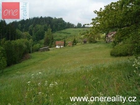 Pronájem pozemku 8000 m² - foto 4