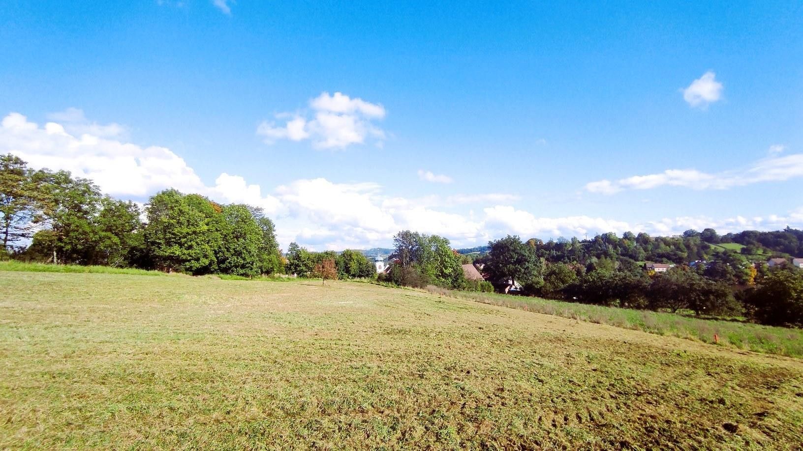 Prodej pozemku 1000 m² - foto 1