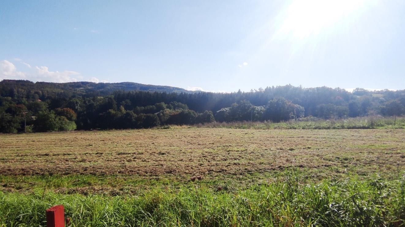 Prodej pozemku 1000 m² - foto 5
