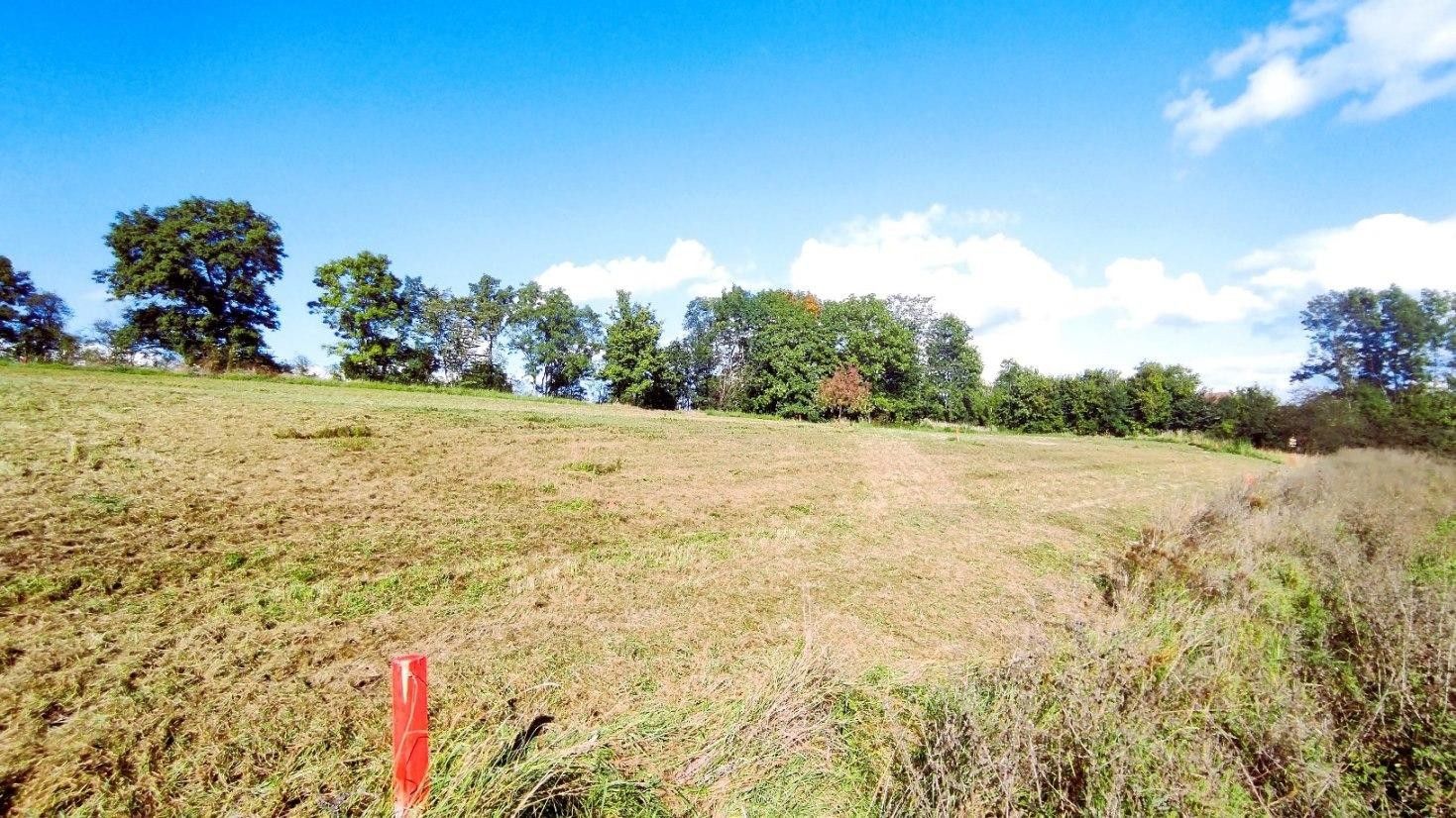 Prodej pozemku 1000 m² - foto 4
