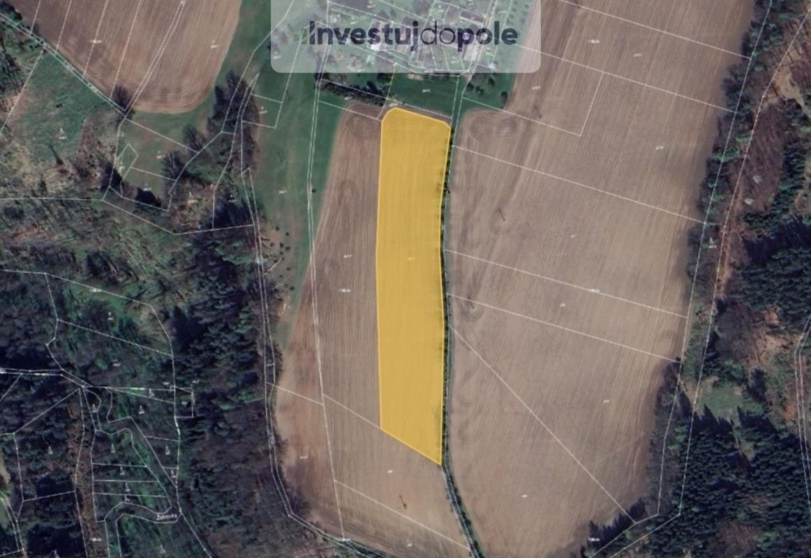 Prodej pozemku 12975 m² - foto 1