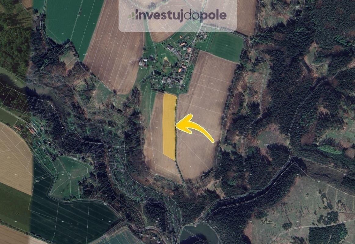Prodej pozemku 12975 m² - foto 2