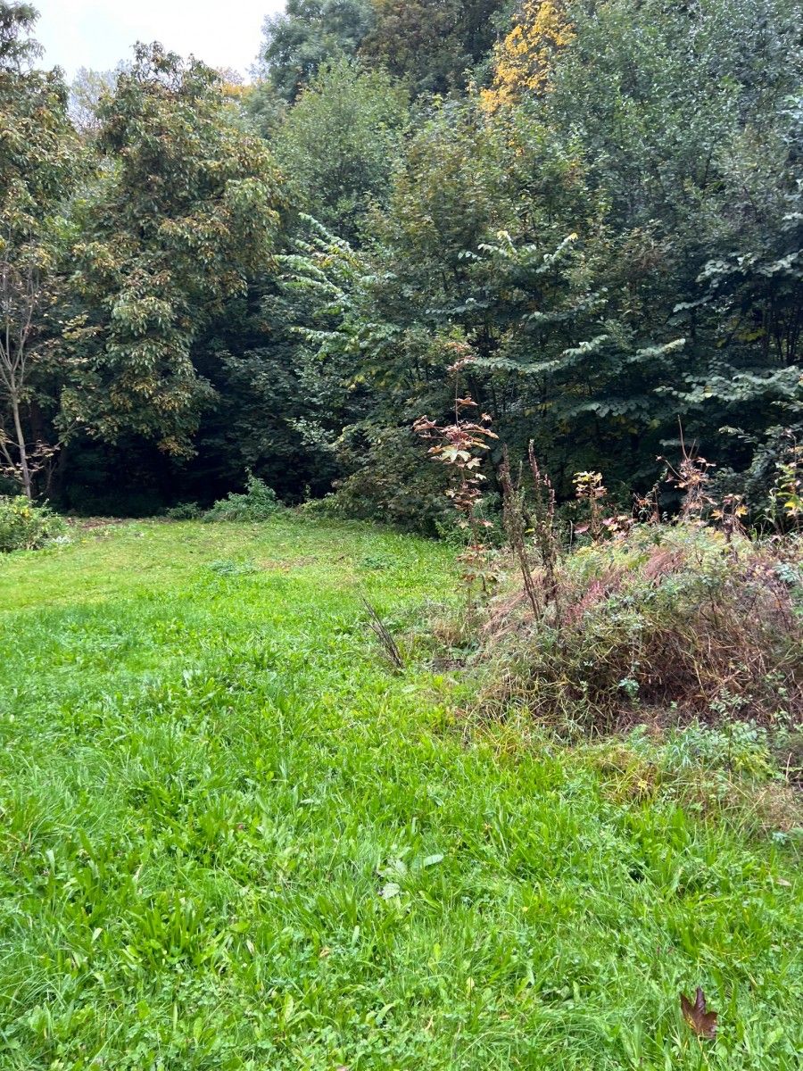 Prodej domu 200 m² - foto 5