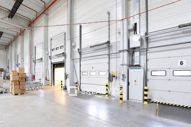 Pronájem komerčního prostoru 6000 m² - foto 3