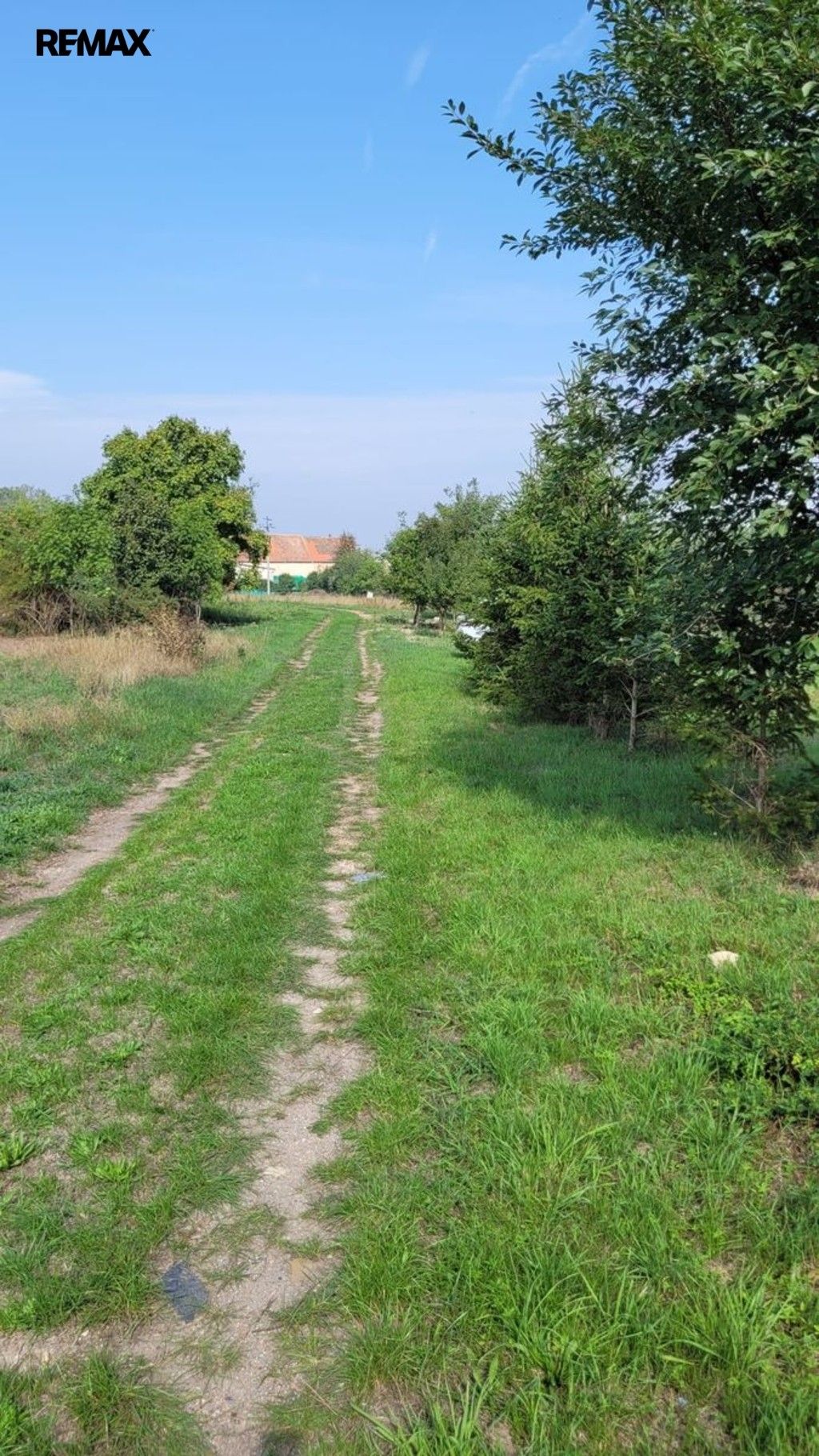 Prodej pozemku 6258 m² - foto 4