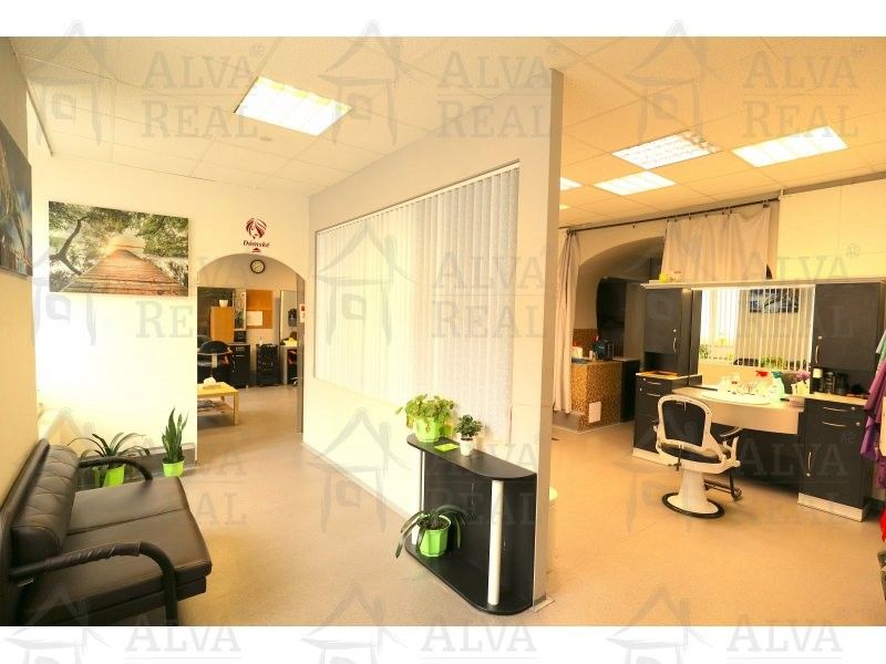 Prodej domu 510 m² - foto 4