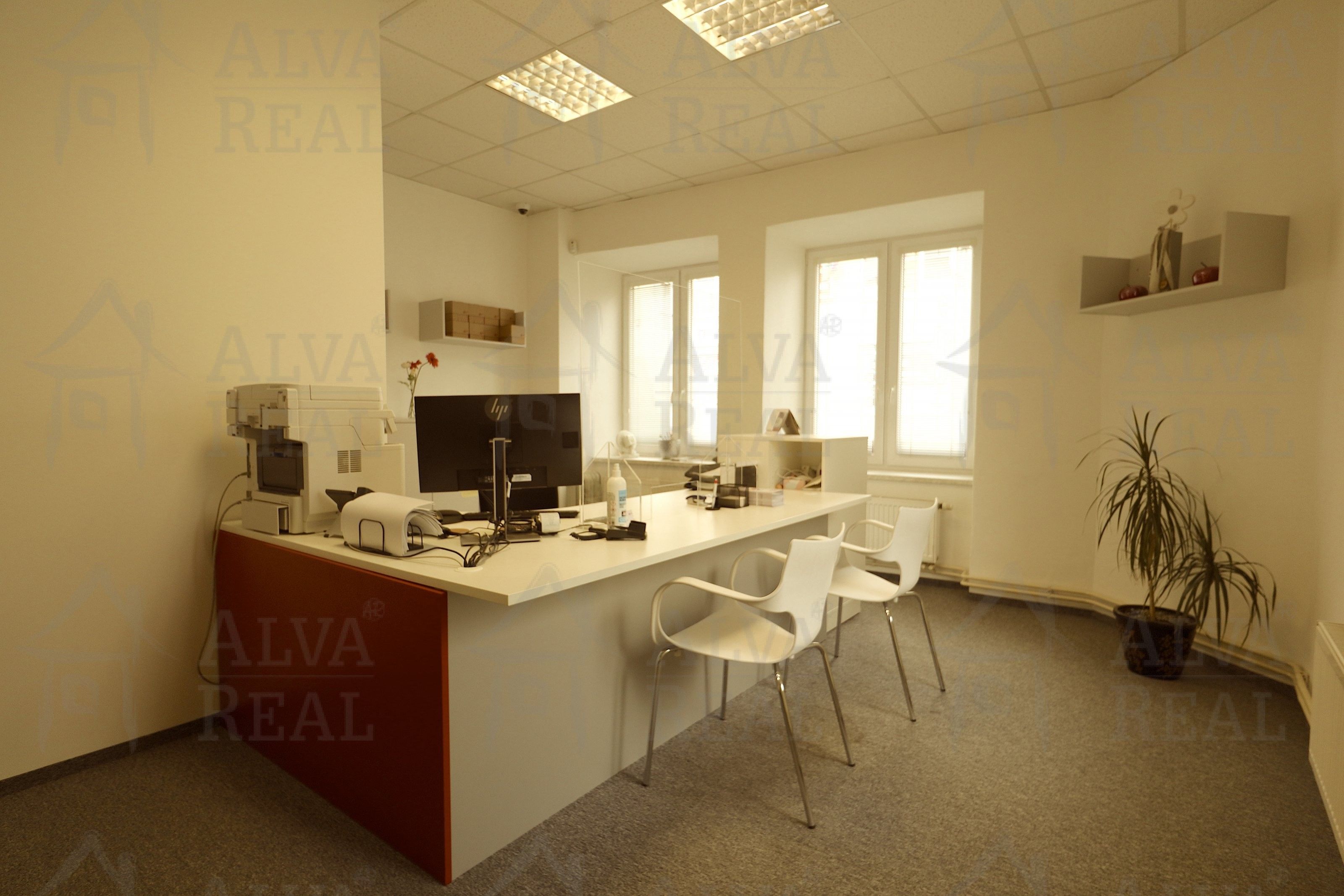 Prodej domu 510 m² - foto 4