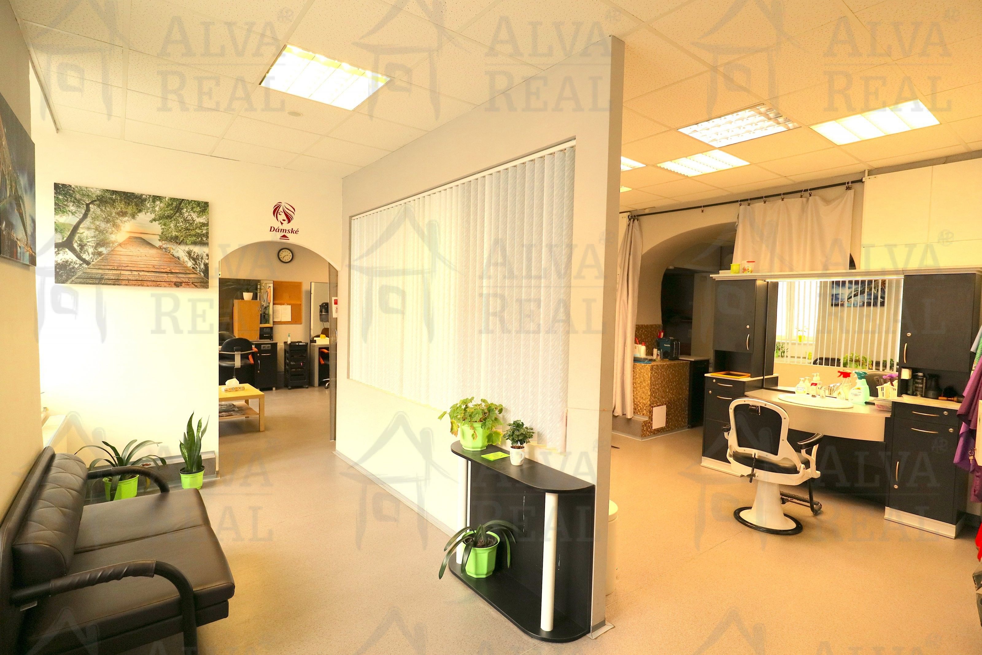 Prodej domu 510 m² - foto 3
