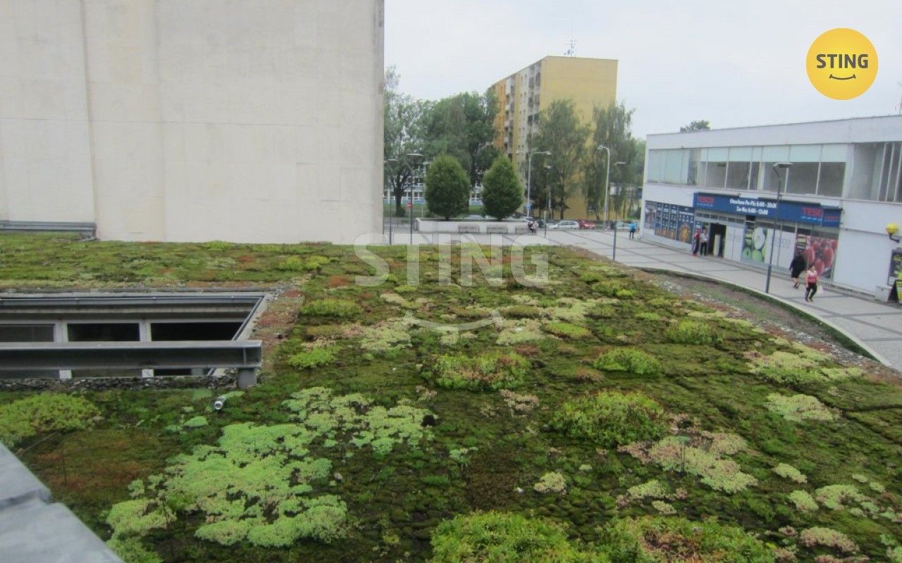 Pronájem komerčního prostoru 78 m² - foto 5