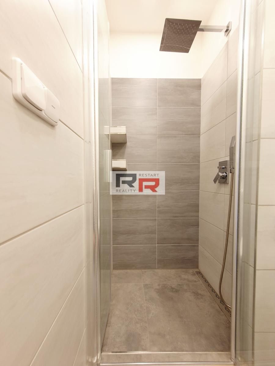 Pronájem bytu 2+1 53 m² - foto 13