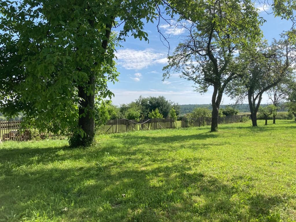 Prodej pozemku 1369 m² - foto 4