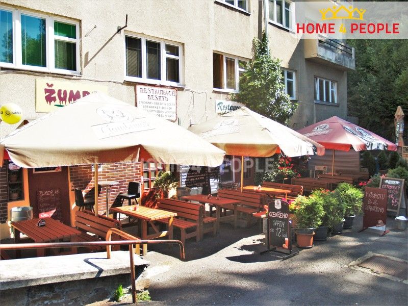 Prodej komerčního prostoru 207 m² - foto 3