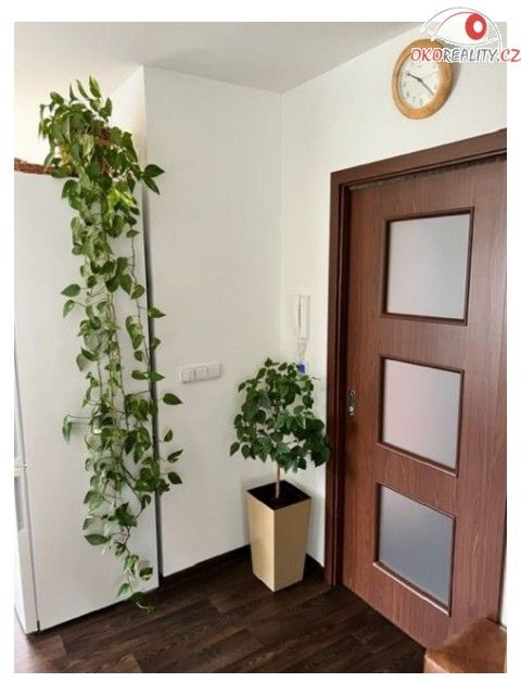 Prodej domu 114 m² - foto 24