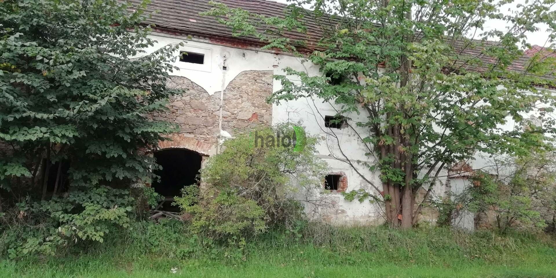 Prodej komerčního prostoru 209 m² - foto 4