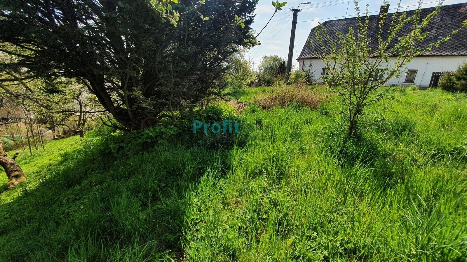 Prodej pozemku 1714 m² - foto 8