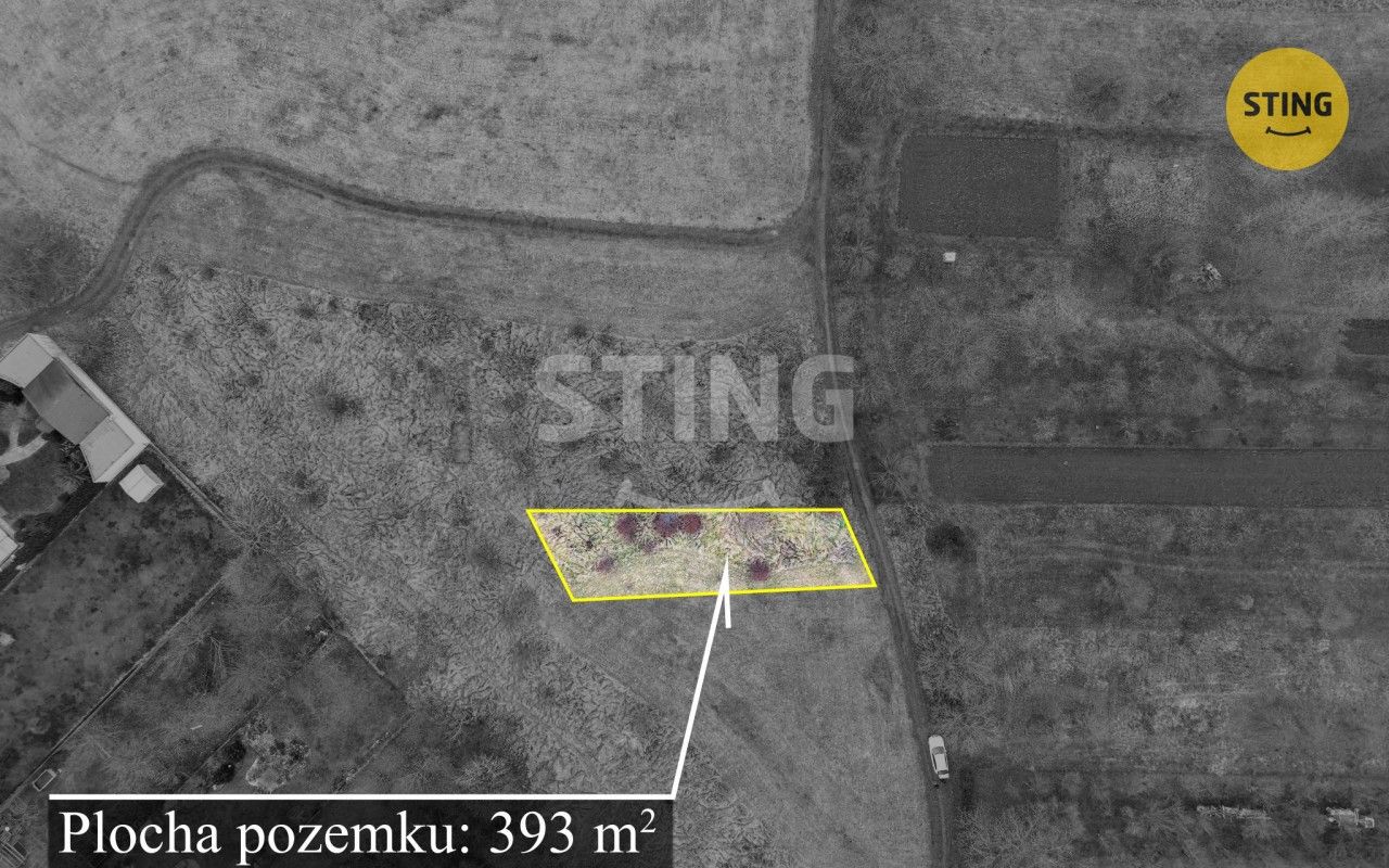 Prodej nemovitosti 393 m² - foto 9