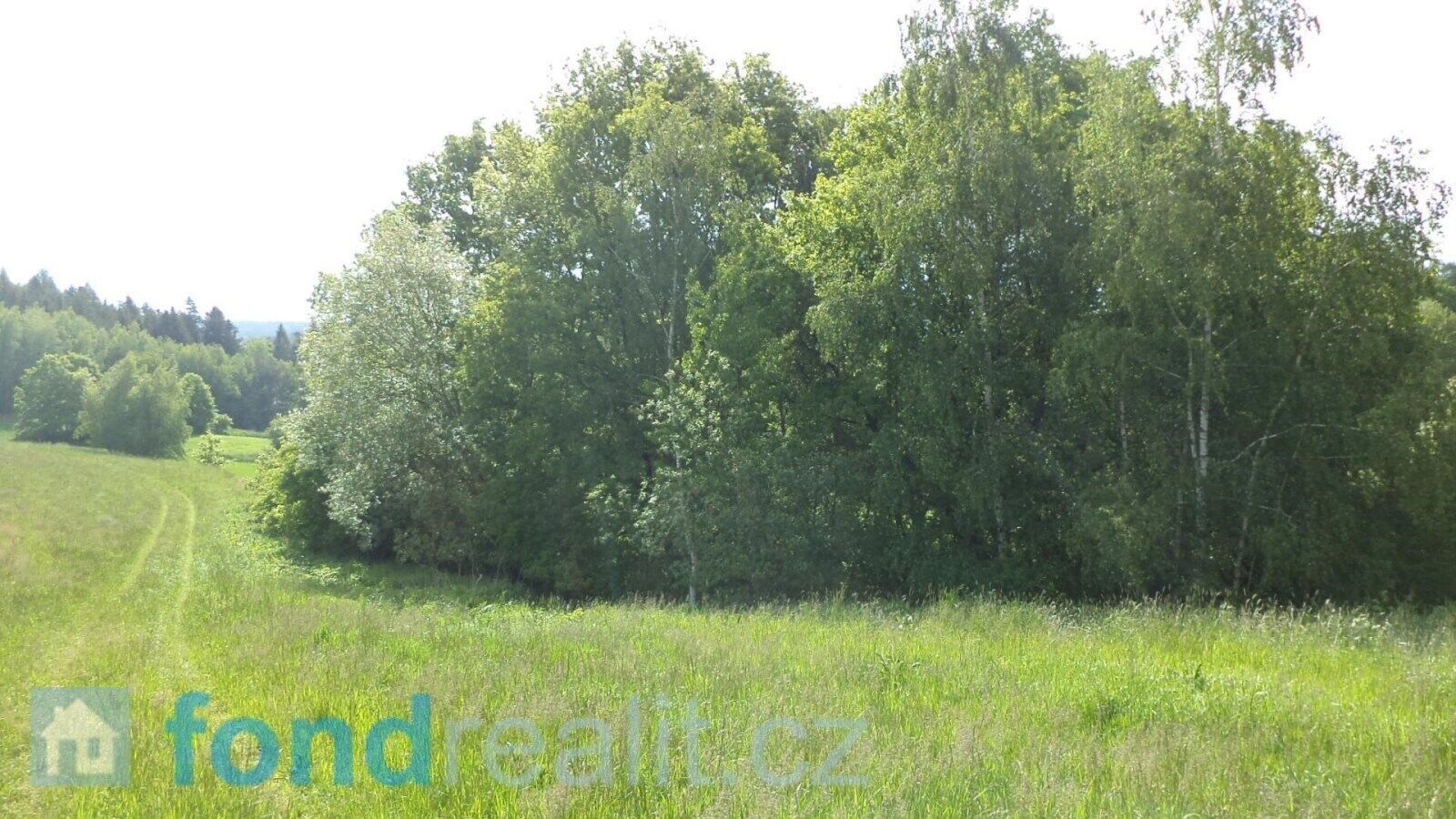 Prodej nemovitosti 2746 m² - foto 2