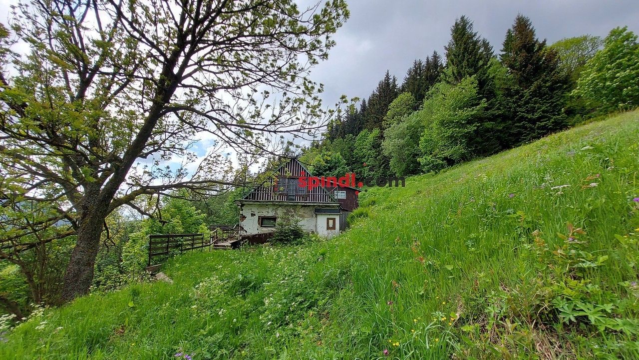 Prodej domu 303 m² - foto 11