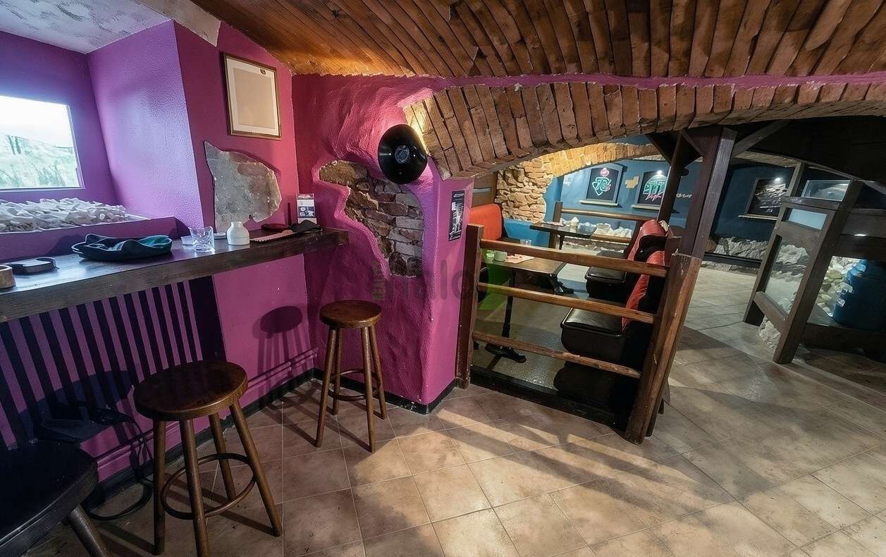Pronájem nemovitosti 165 m² - foto 7