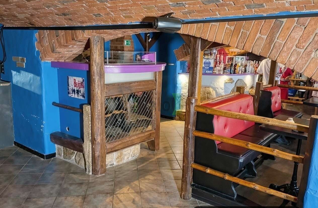 Pronájem nemovitosti 165 m² - foto 8