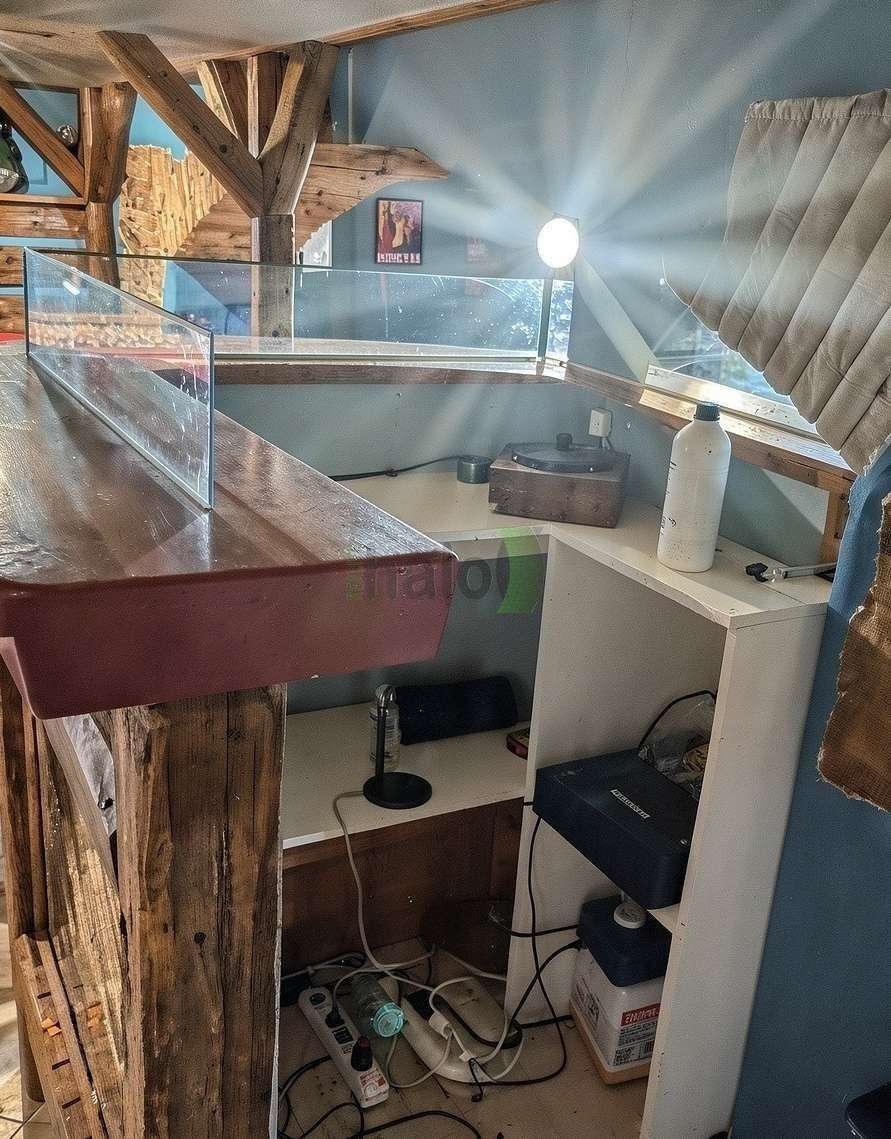 Pronájem nemovitosti 165 m² - foto 12