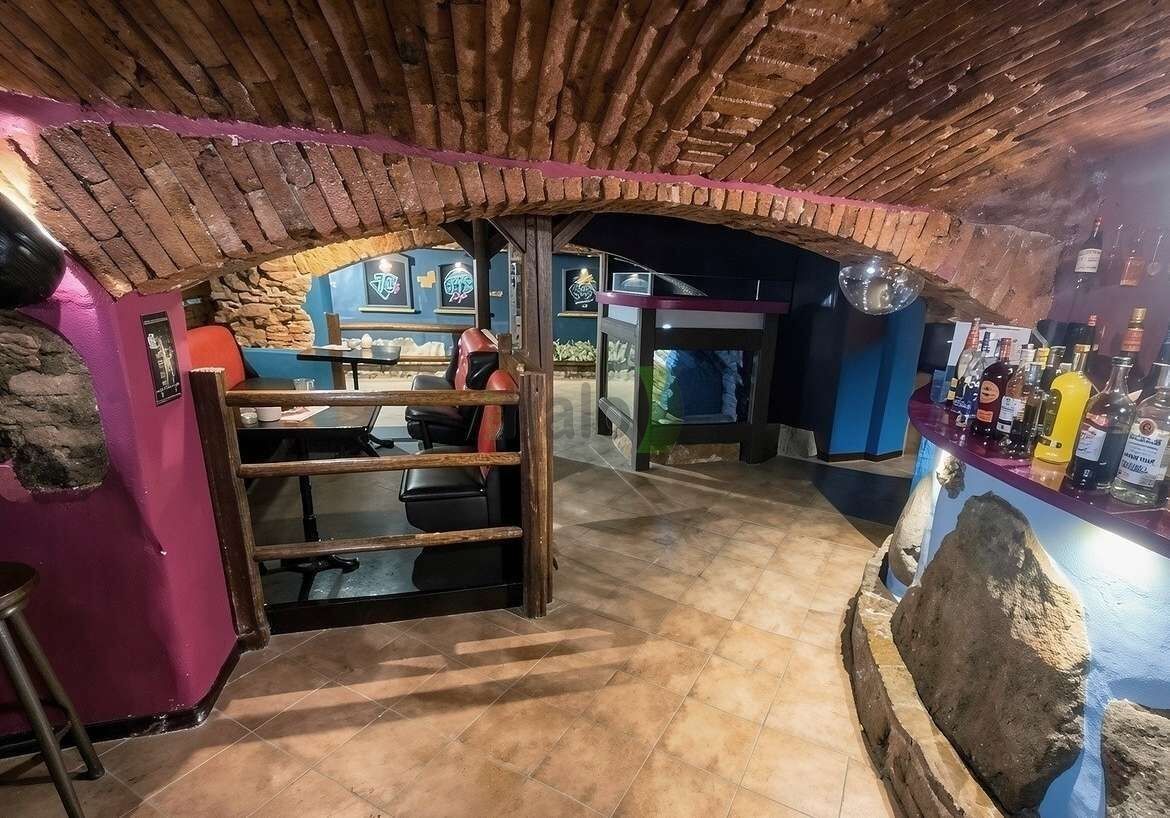 Pronájem nemovitosti 165 m² - foto 14
