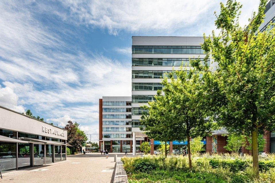 Pronájem komerčního prostoru 256 m² - foto 2