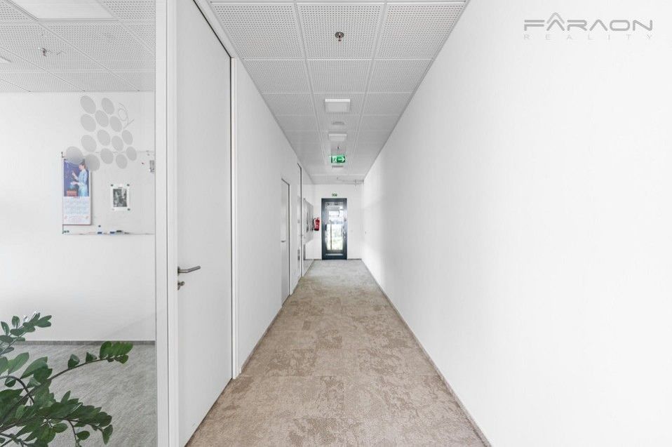 Pronájem komerčního prostoru 256 m² - foto 7