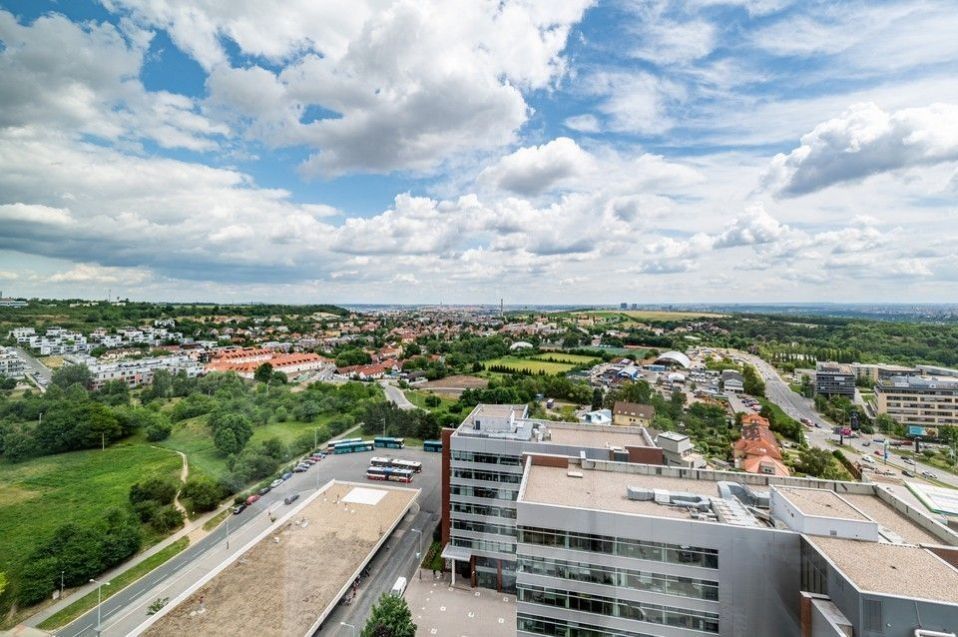 Pronájem komerčního prostoru 256 m² - foto 10