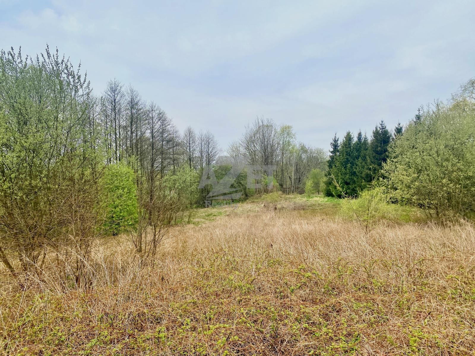 Prodej pozemku 7555 m² - foto 8