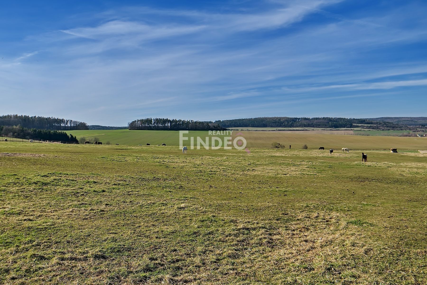 Prodej pozemku 2165 m² - foto 5
