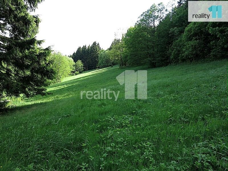 Prodej domu 176 m² - foto 19