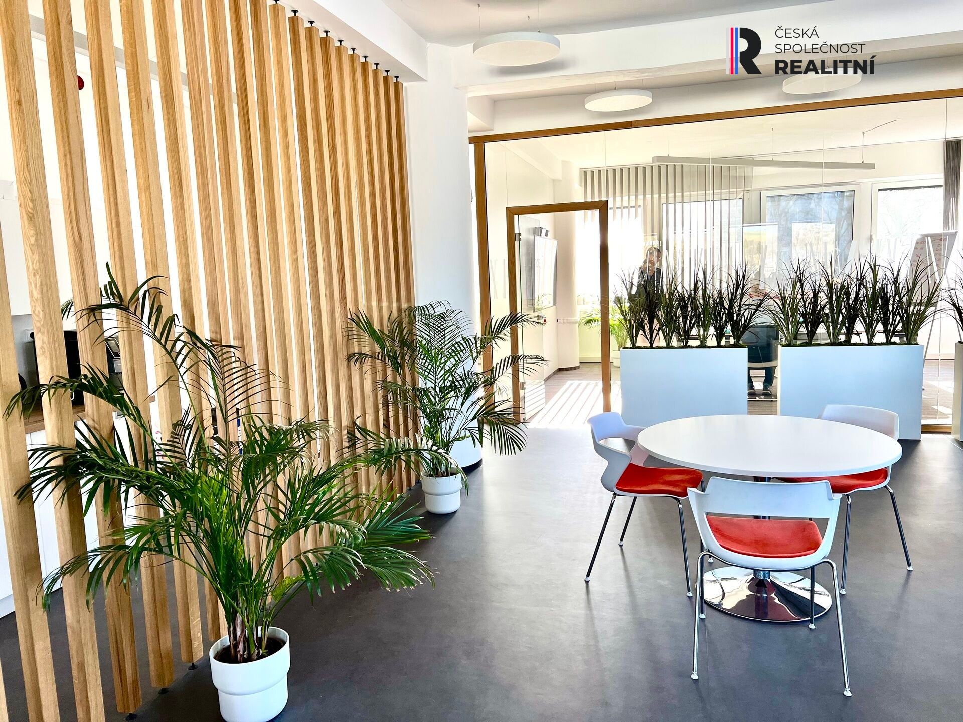 Pronájem komerčního prostoru 550 m² - foto 4