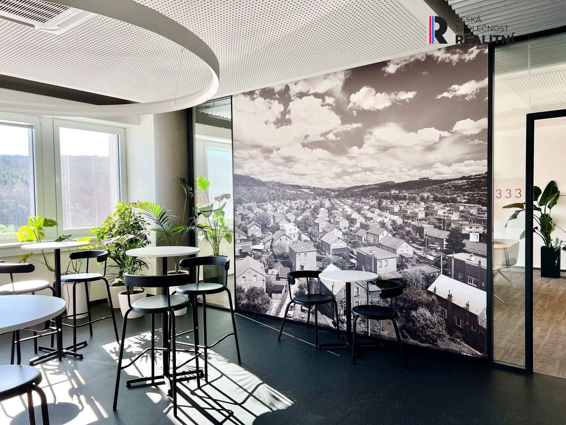Pronájem komerčního prostoru 550 m² - foto 5