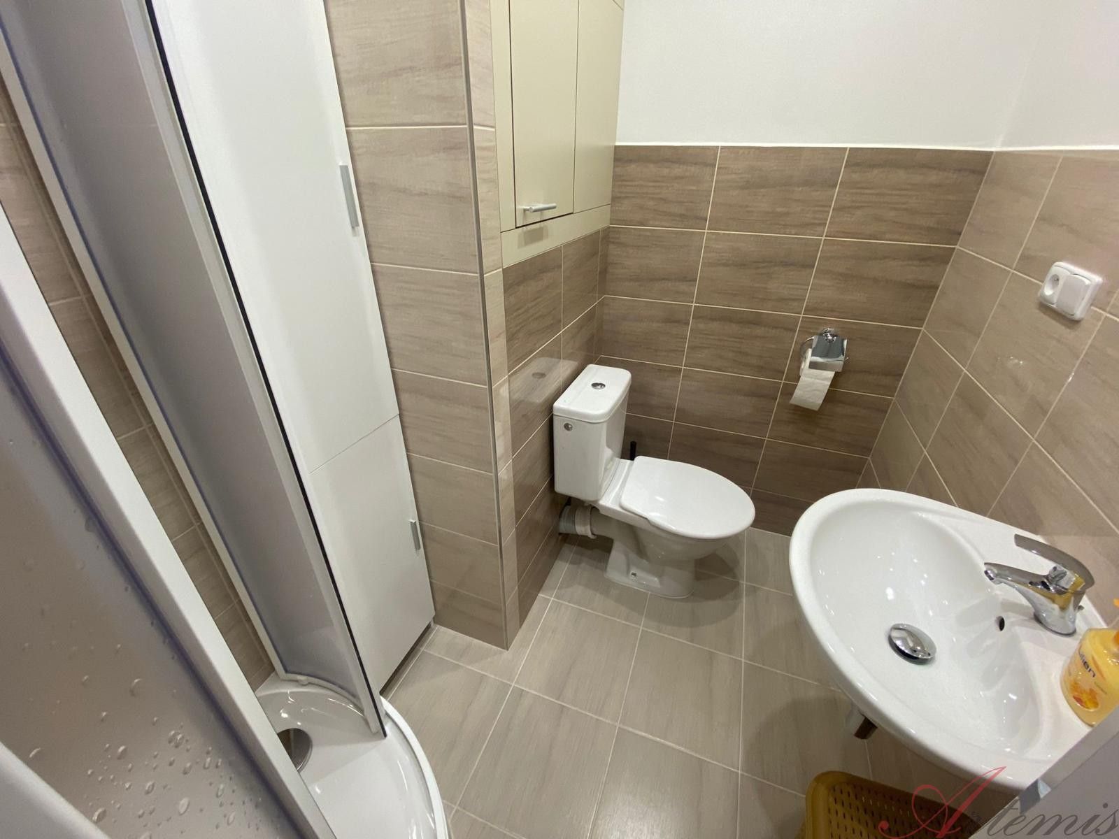 Pronájem bytu 1+kk 25 m² - foto 4