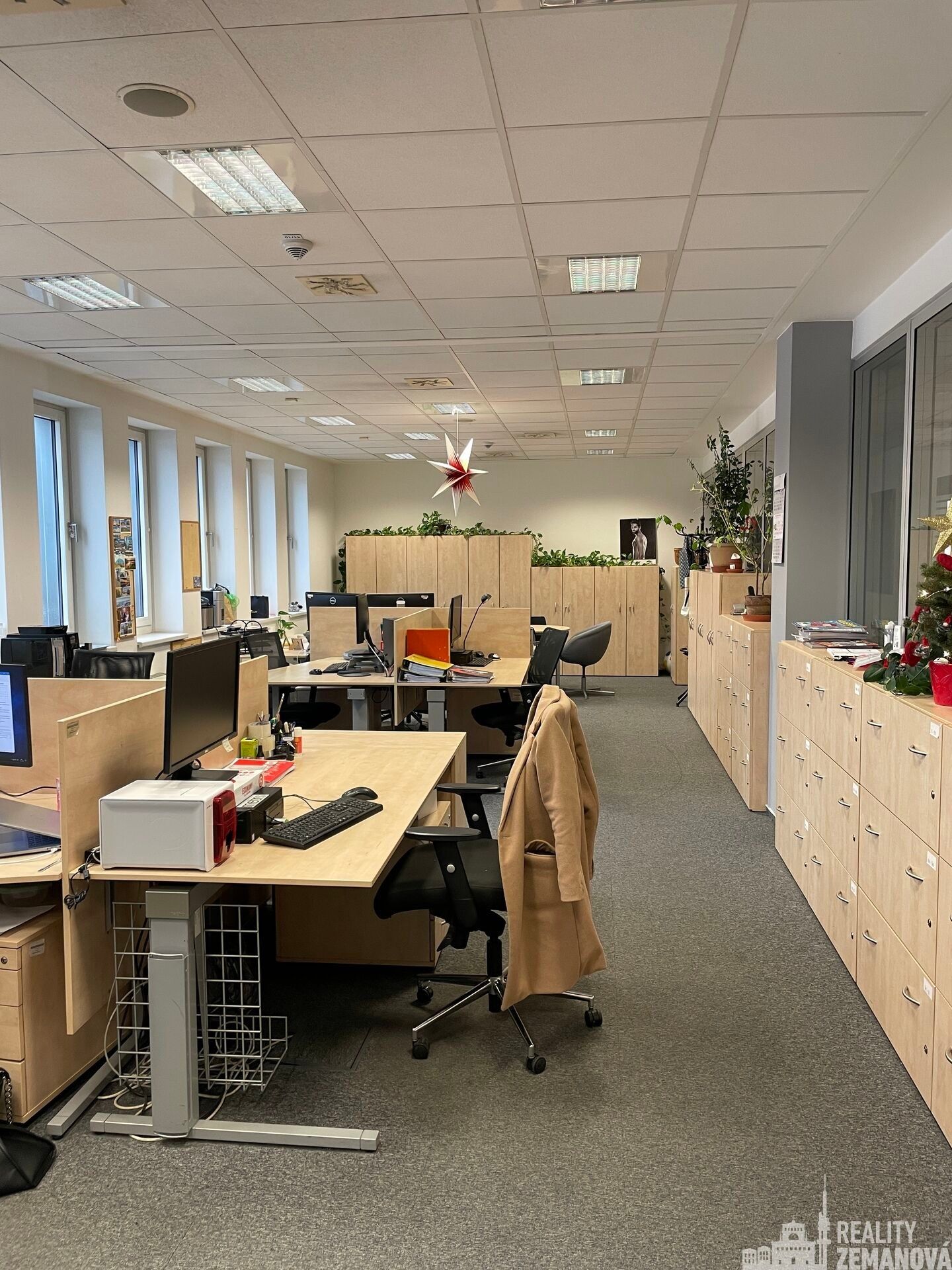 Pronájem komerčního prostoru 1006 m² - foto 6
