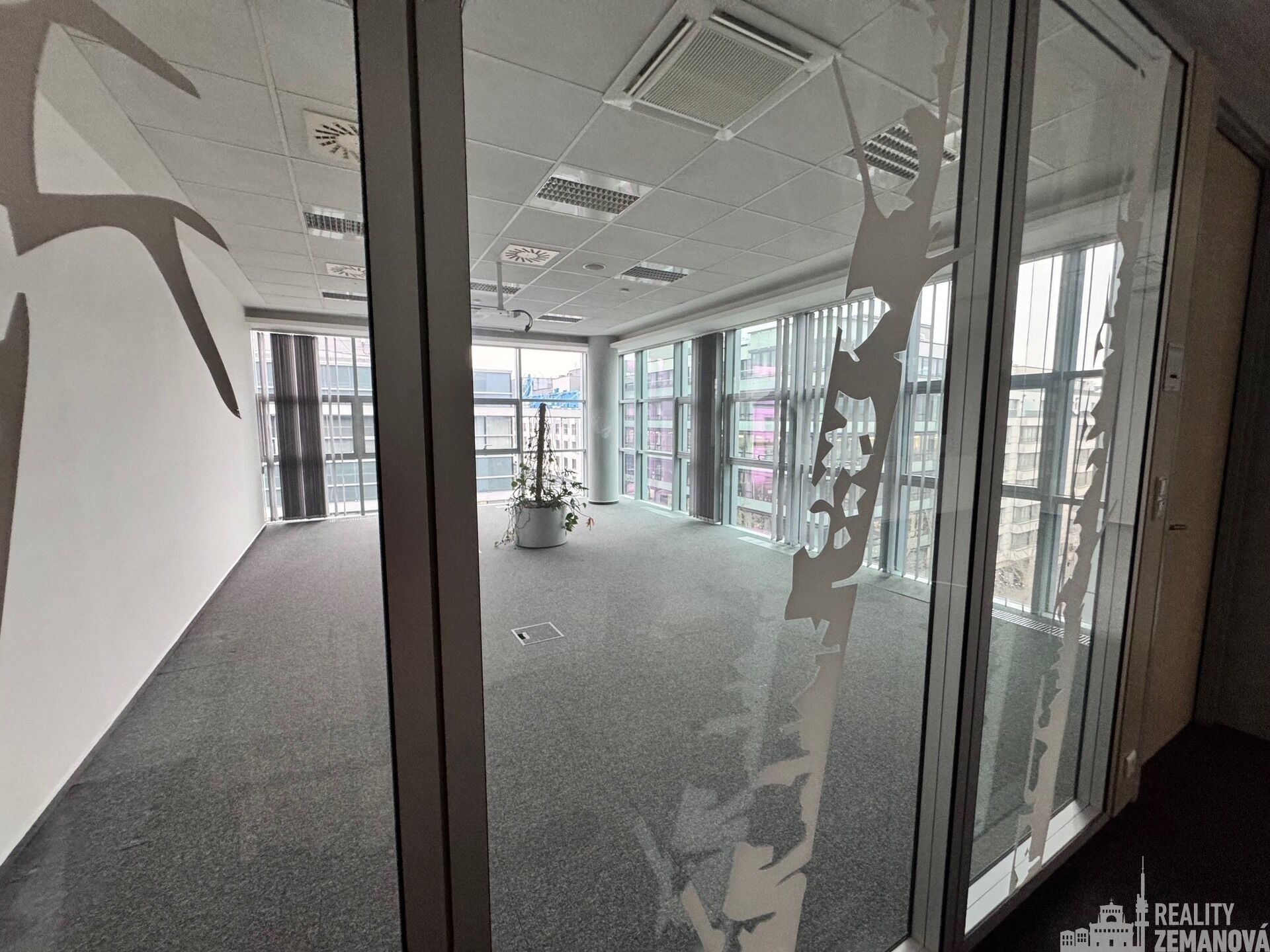 Pronájem komerčního prostoru 1006 m² - foto 10
