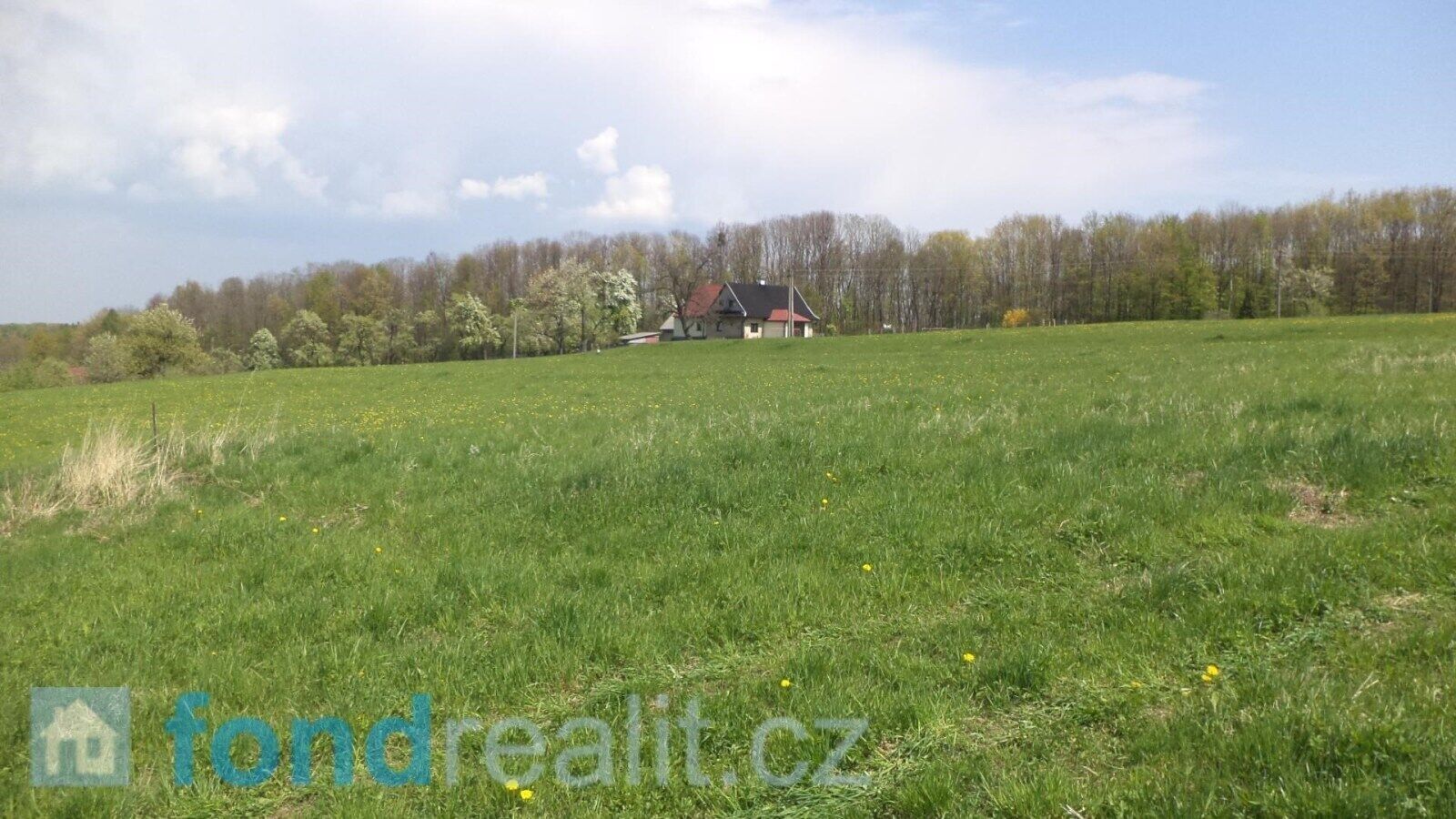 Prodej pozemku 8787 m² - foto 2