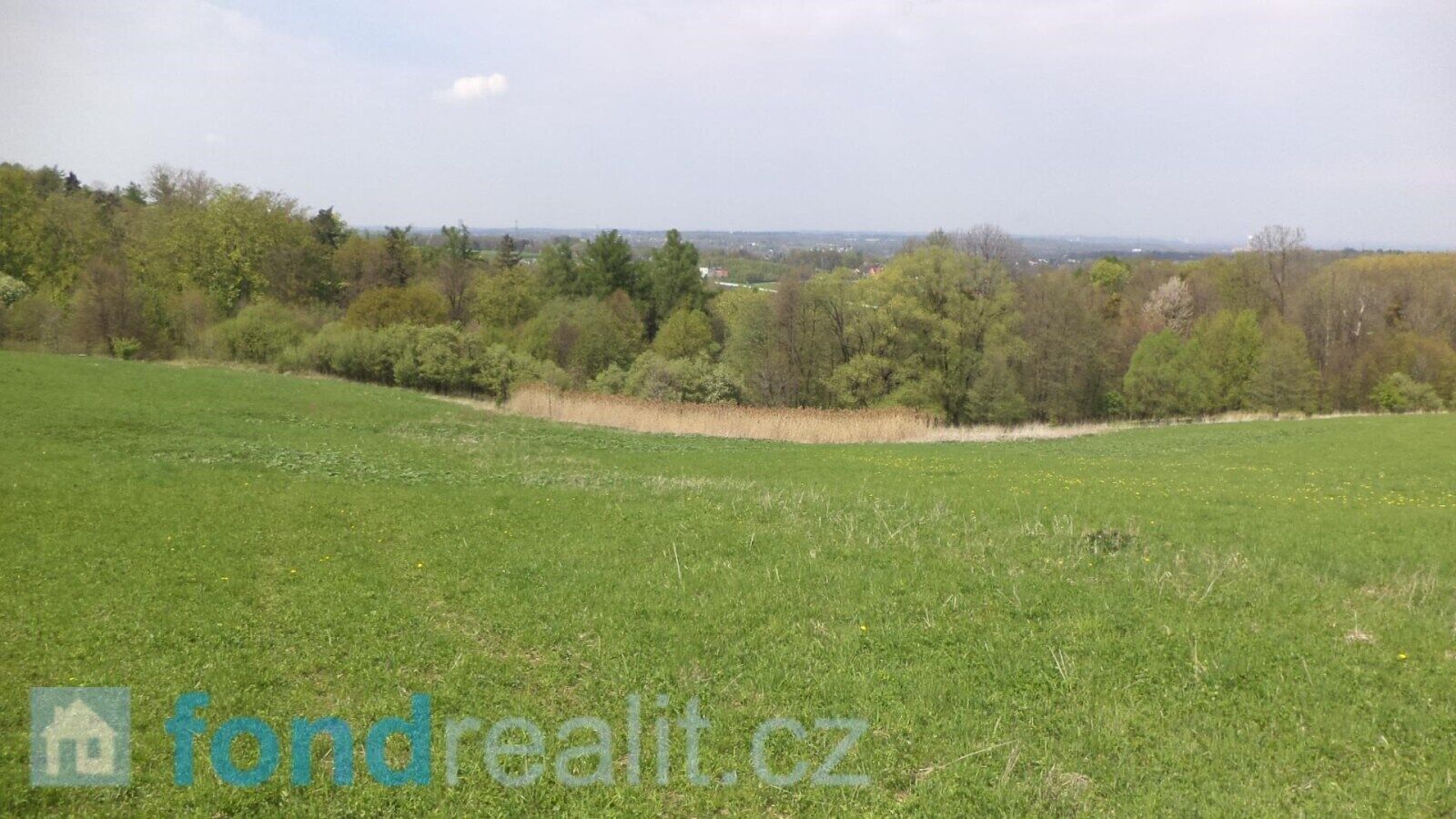 Prodej pozemku 8787 m² - foto 3