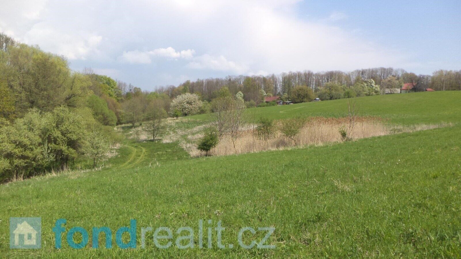 Prodej pozemku 8787 m² - foto 4