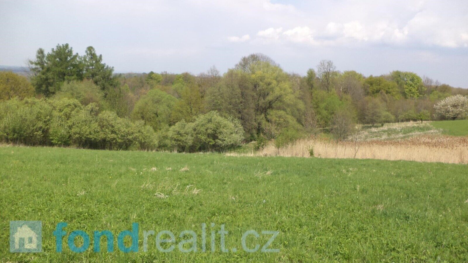 Prodej pozemku 8787 m² - foto 5